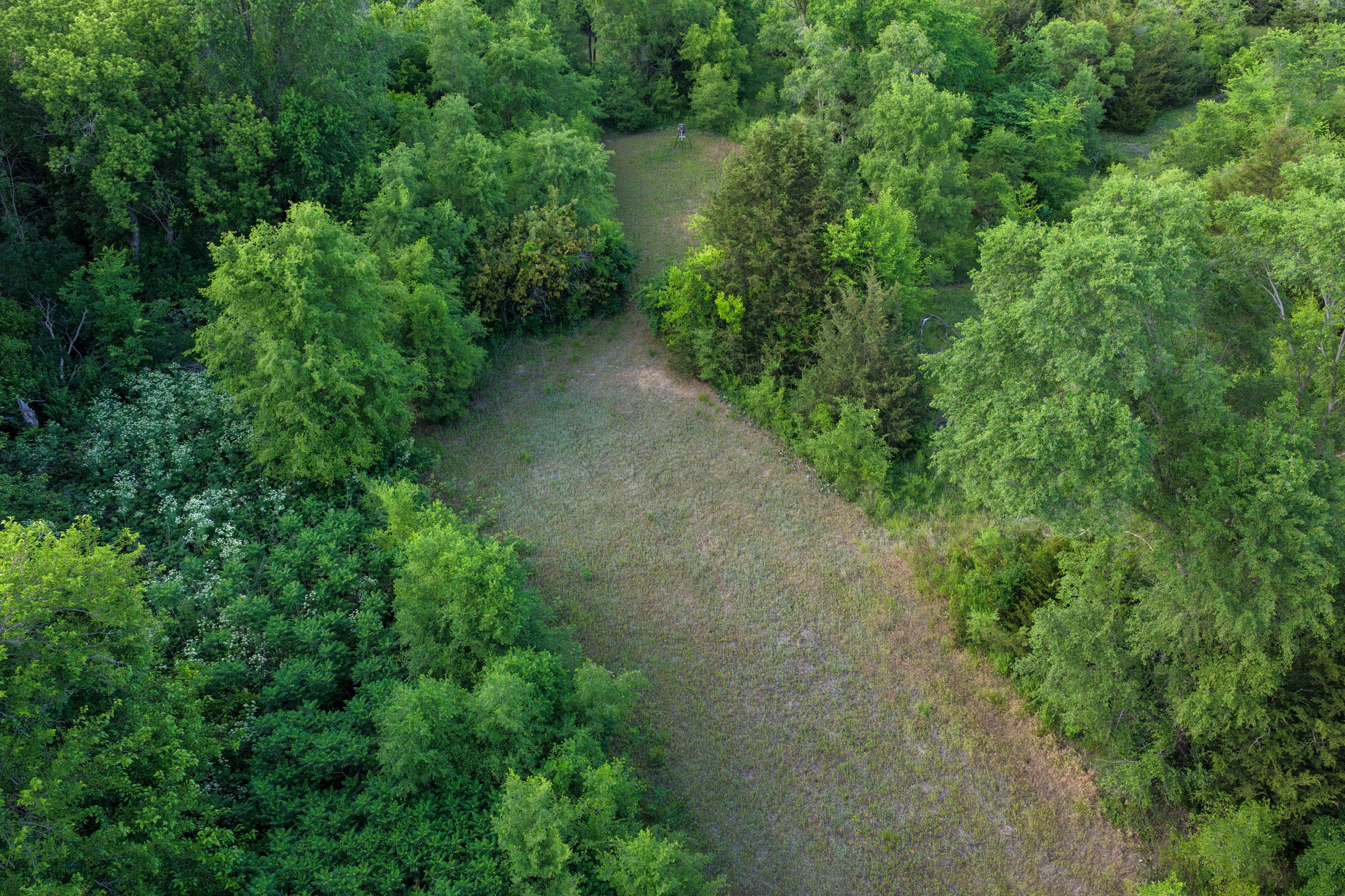 Listing Photo: Small Recreational Land For Sale in Lee County, Iowa